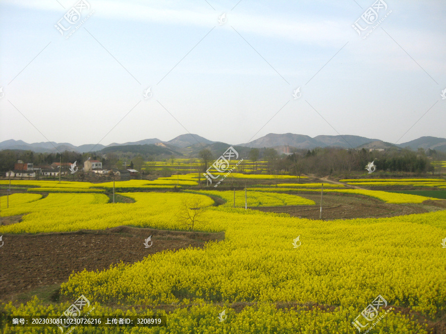 田野风光