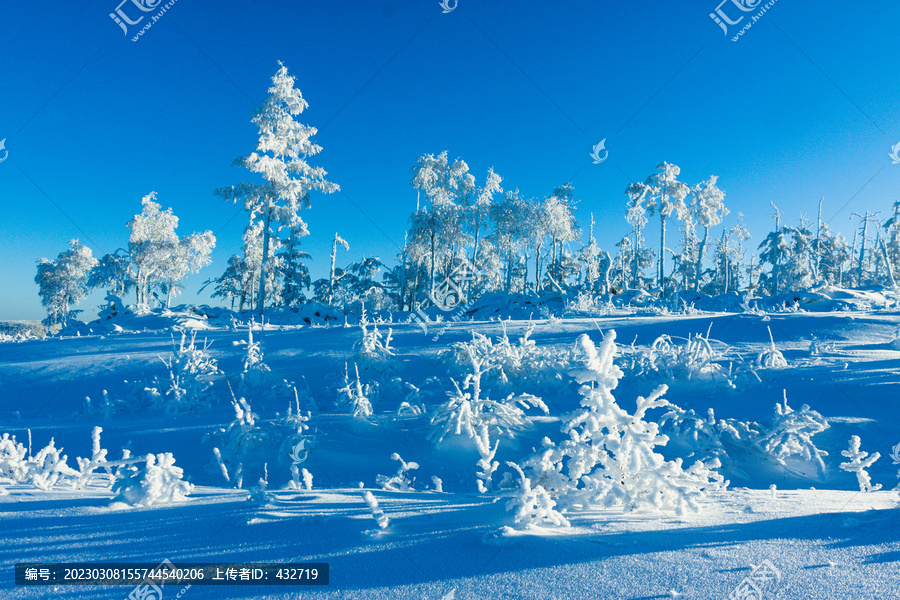 冬季大雪雾凇蓝天