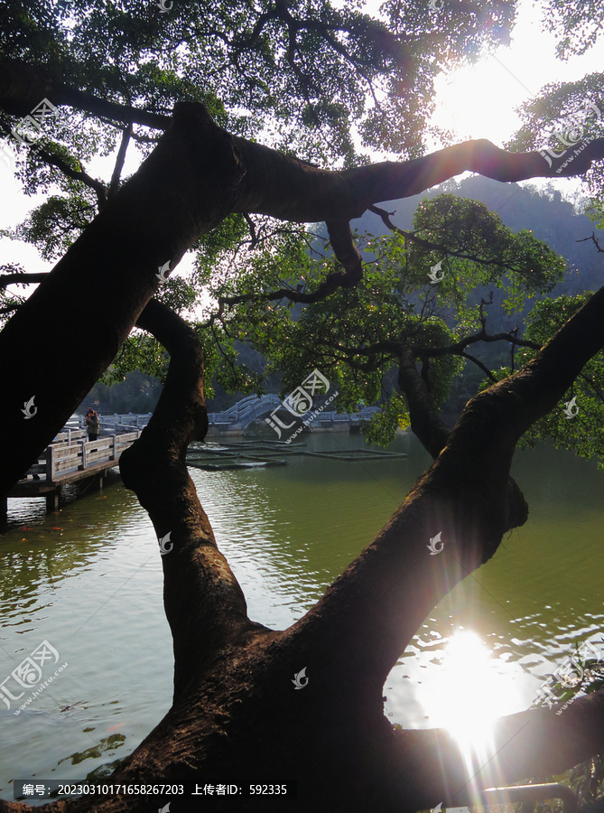 水塘