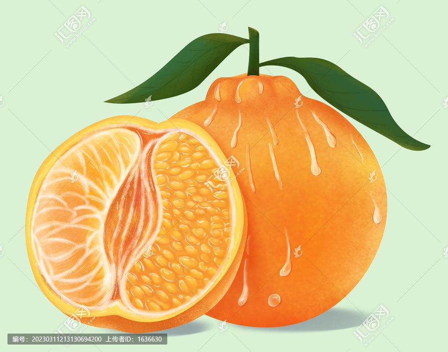 耙耙柑插畫