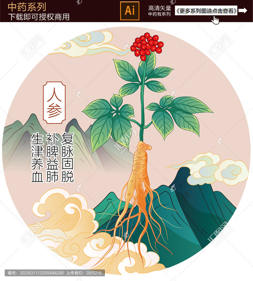 手繪人參