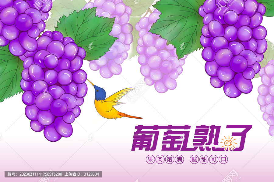 葡萄插畫