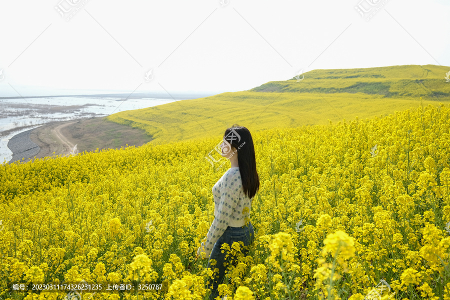 油菜花地的亮丽女子