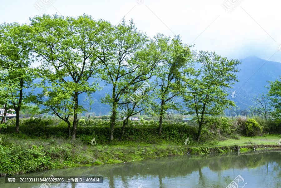 春天的田园风光