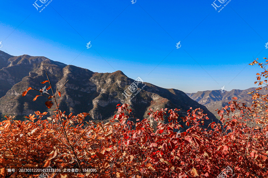 坡峰岭秋景