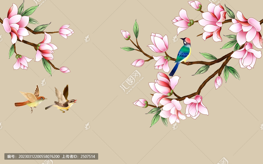 粉色玉蘭花