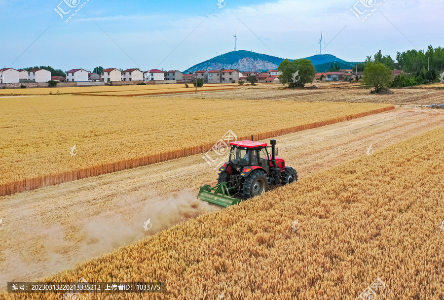 收割机收割小麦