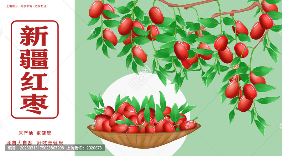 紅棗水果包裝插畫