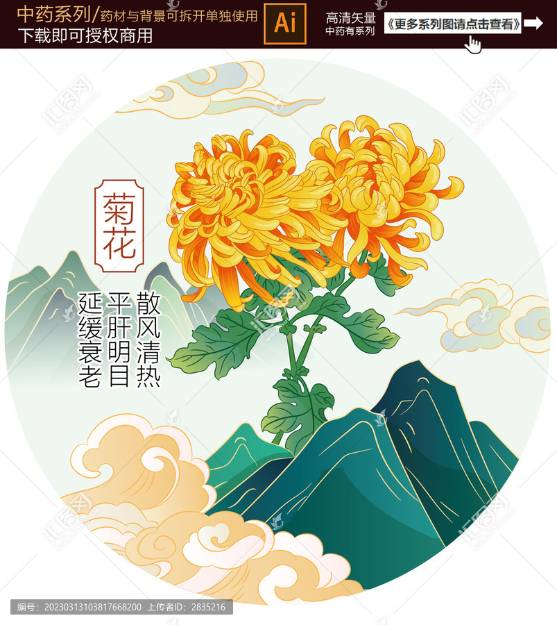 菊花