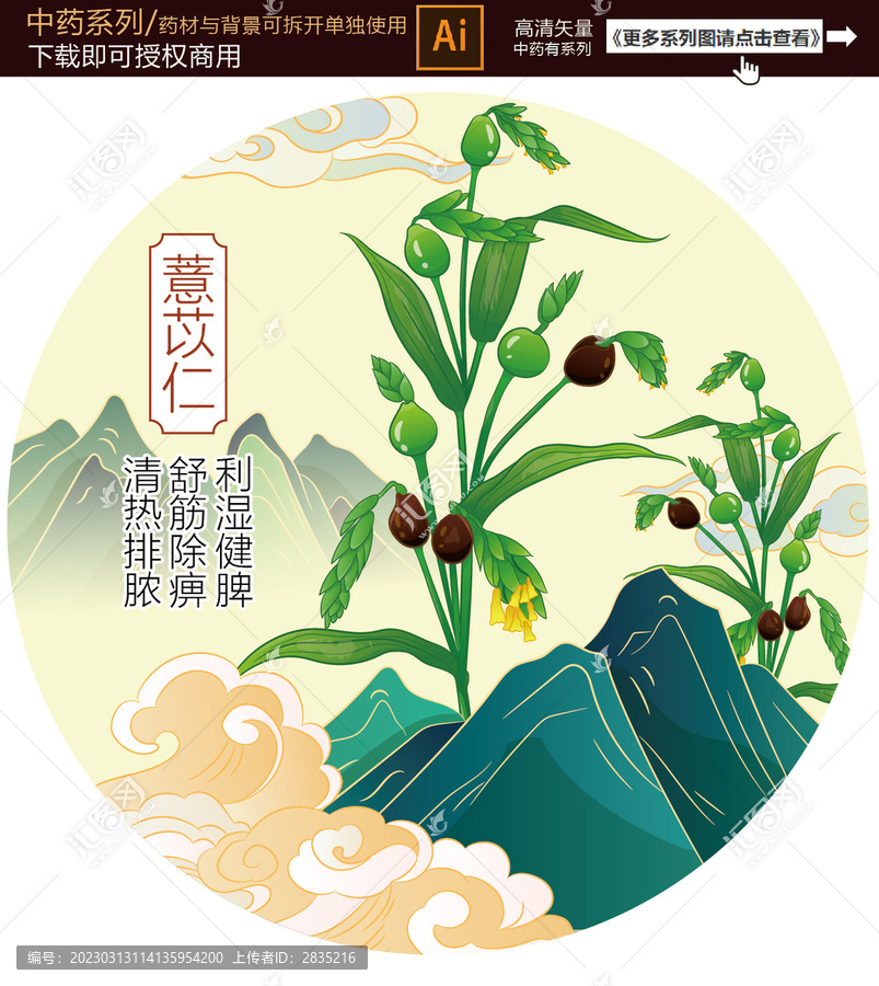 薏苡仁