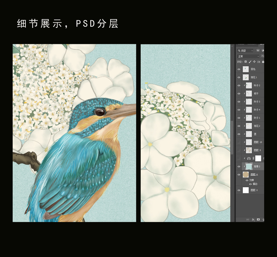 瓊花國畫