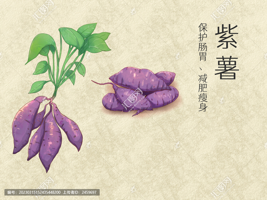 手繪水彩農(nóng)產(chǎn)品紫薯插畫