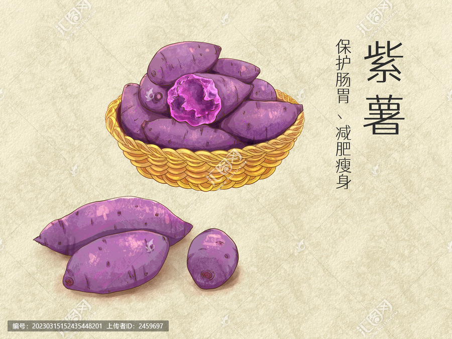 手繪水彩農(nóng)產(chǎn)品紫薯插畫
