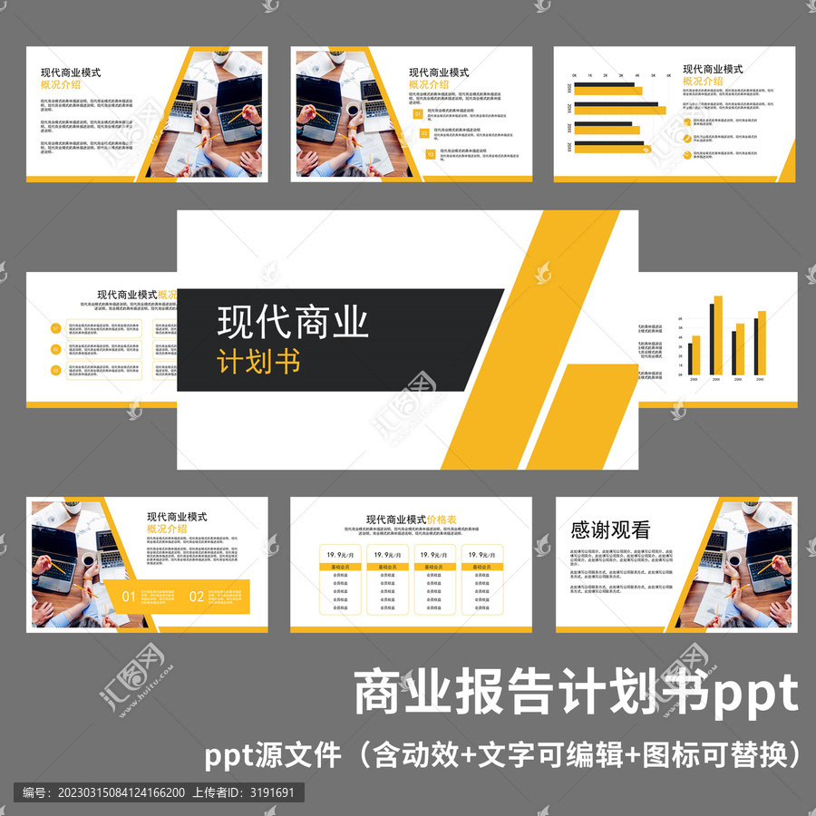 商业报告计划书ppt