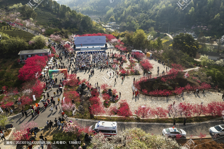 宜都市桃花节现场