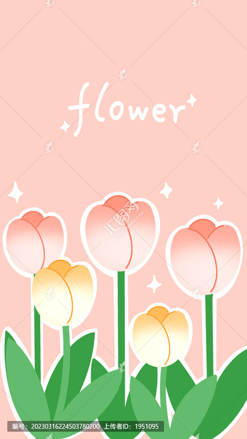 郁金香插畫