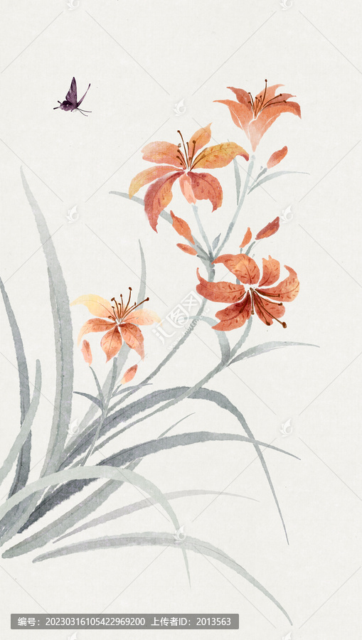 水彩萱草插畫