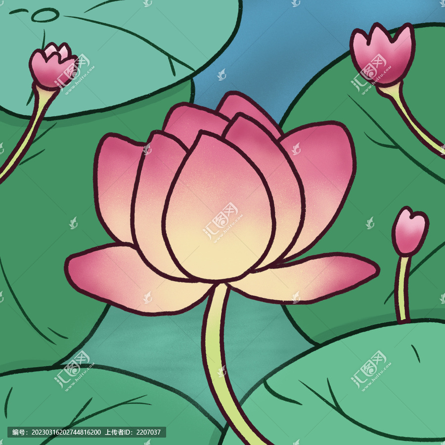 手繪荷花插畫