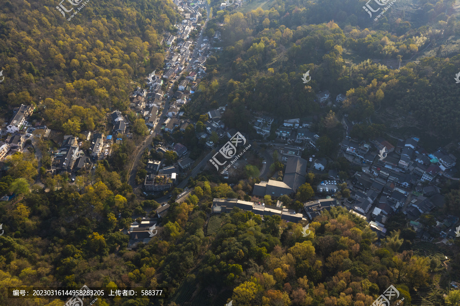 杭州西湖龙井产地翁家山茶园