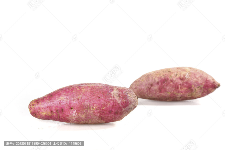 白底上的板栗红薯