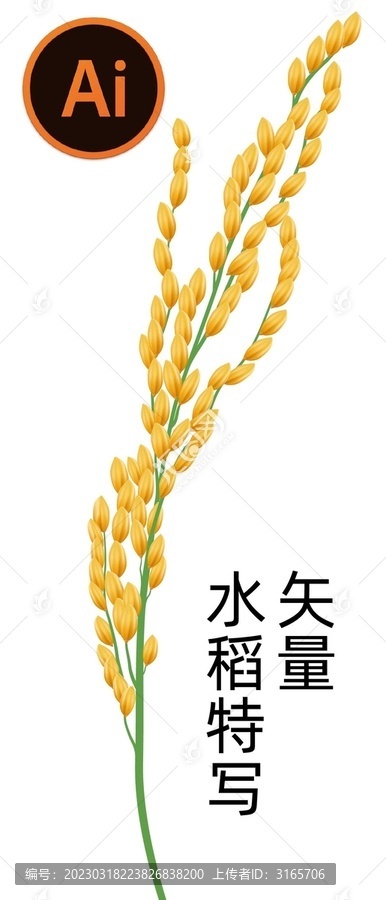 稻穗手繪