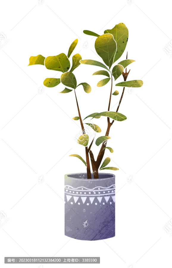 扁平大型植物盆栽