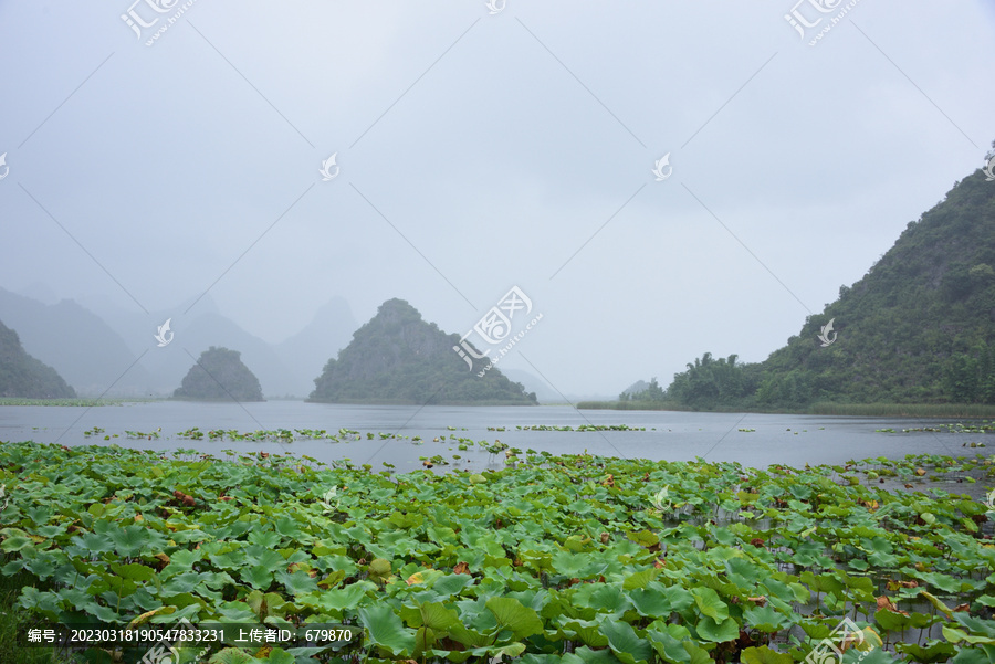 山水荷塘