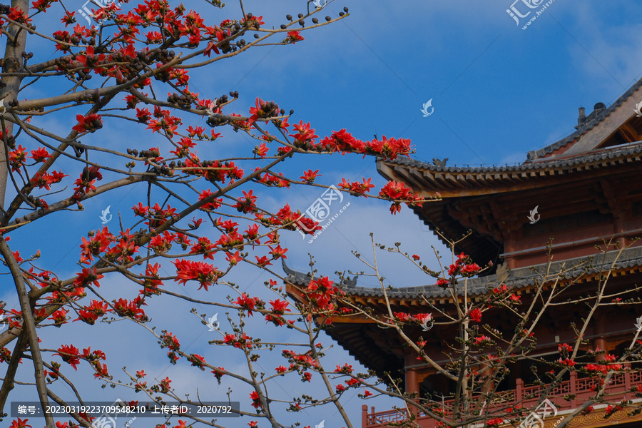 中式传统古建筑屋檐木棉花