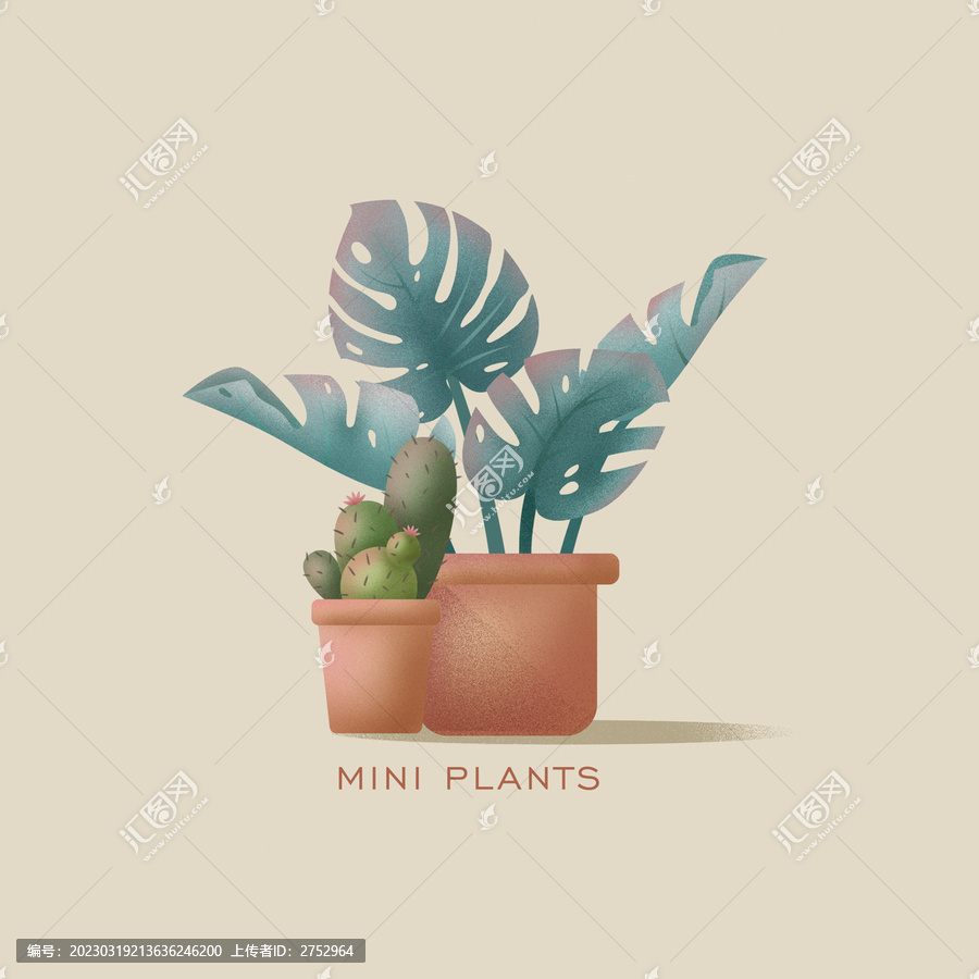 扁平仙人球多肉龜背綠植盆栽