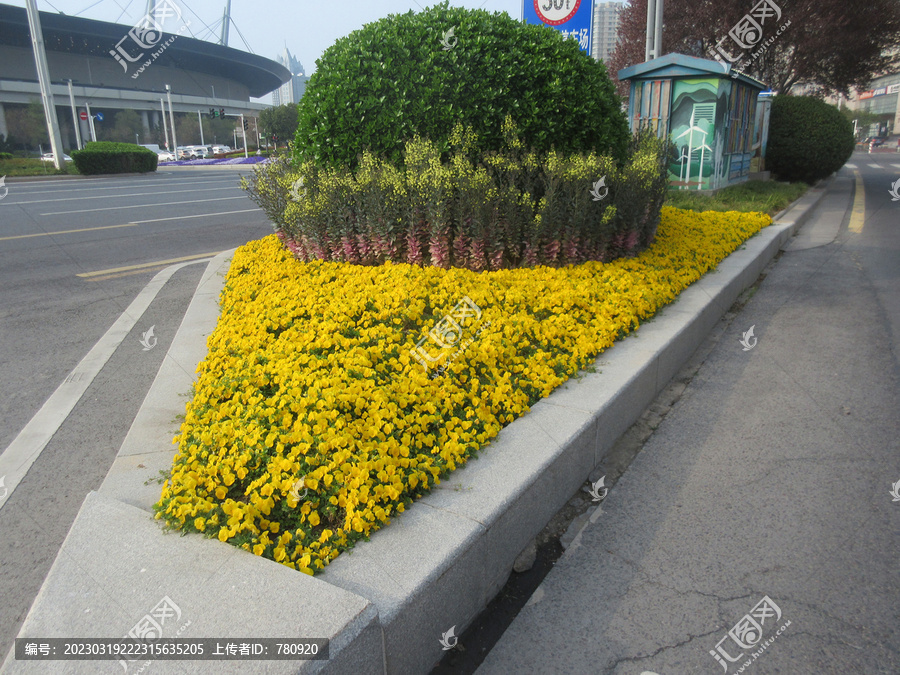 道路绿化带