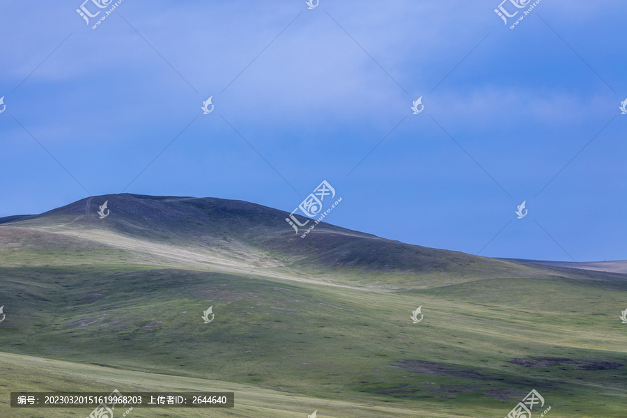 大青山高山牧场