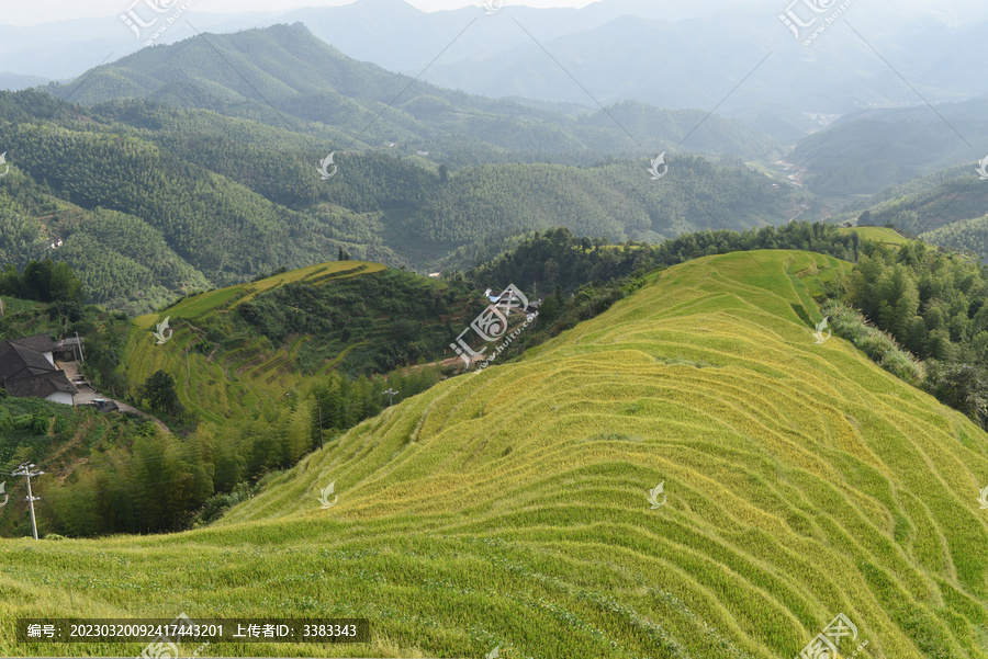 上堡梯田