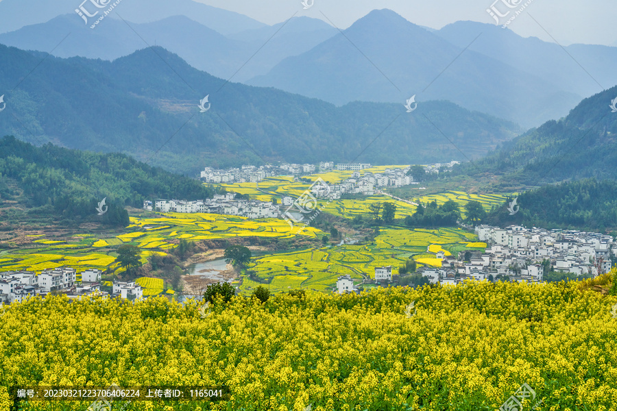 漫山遍野油菜花