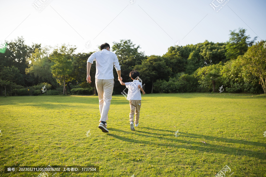 公园里父子牵手跑步背影