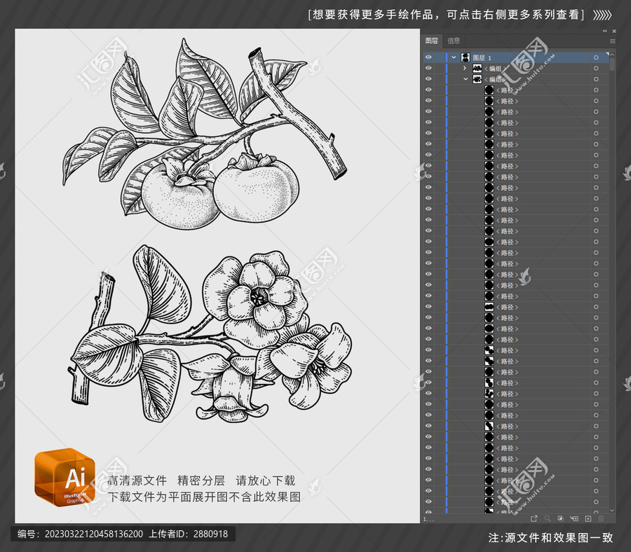樹枝上的柿子手繪
