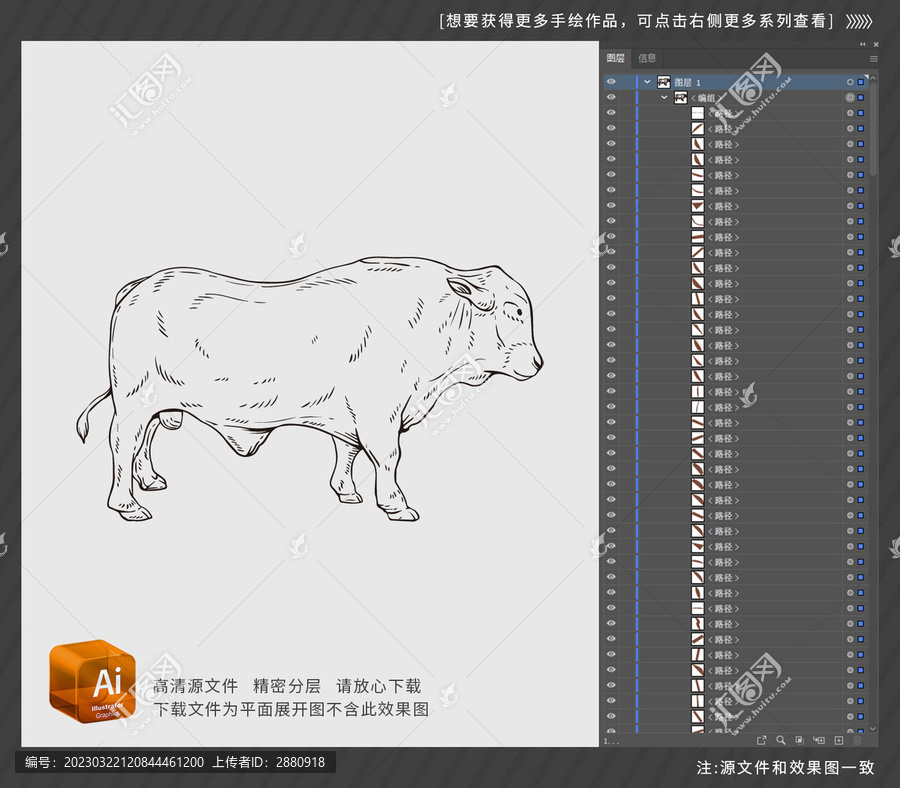 牛插圖