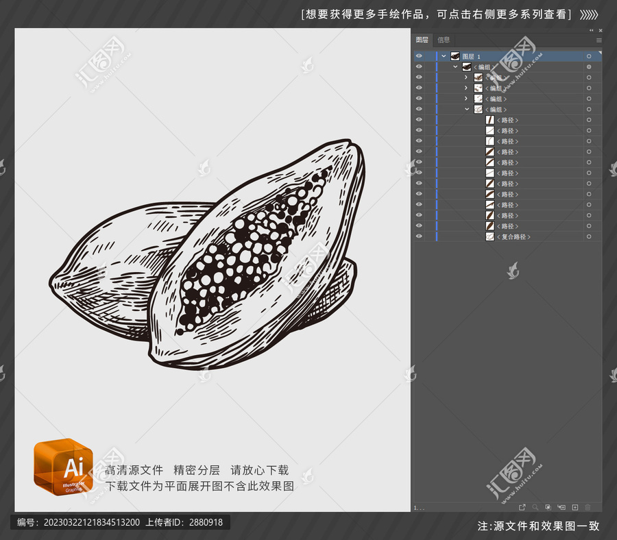 木瓜插圖