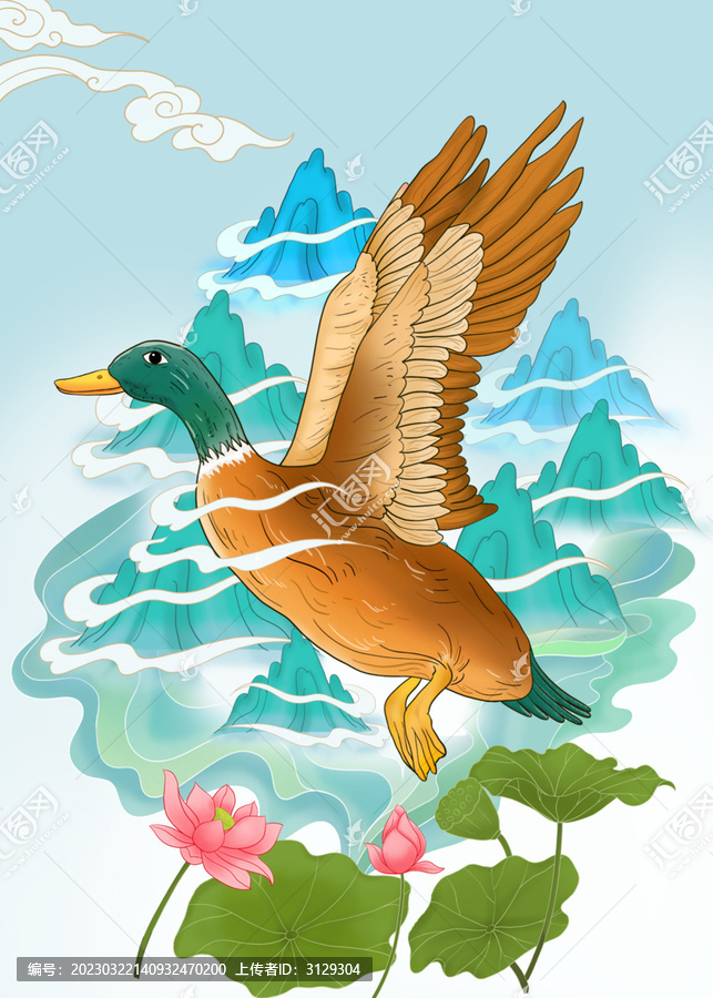 青頭鴨插畫