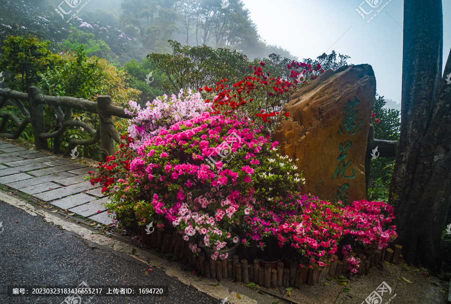 万花屏雾里看花