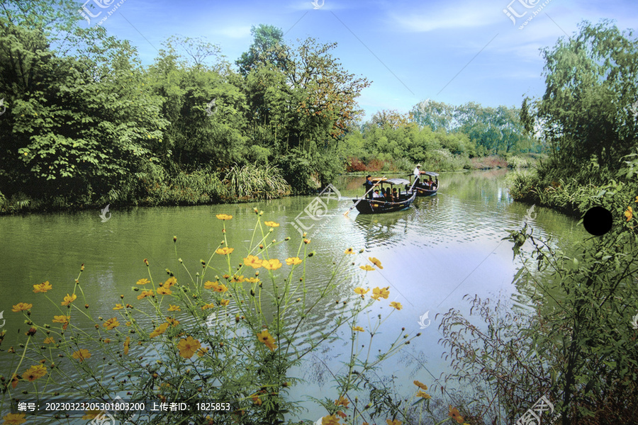 杭州西溪湿地