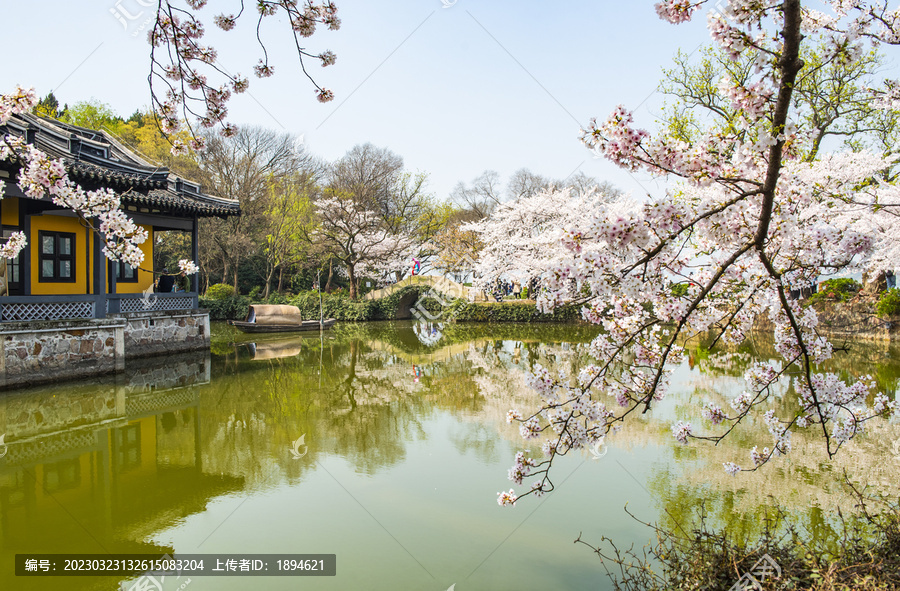 园林风景