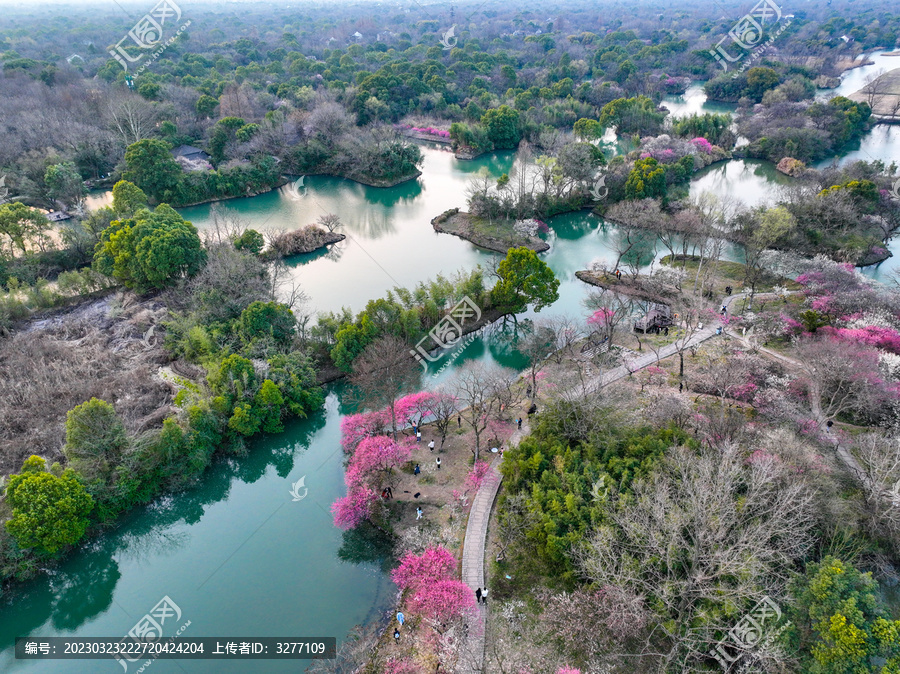 杭州西溪湿地国家公园梅花航拍