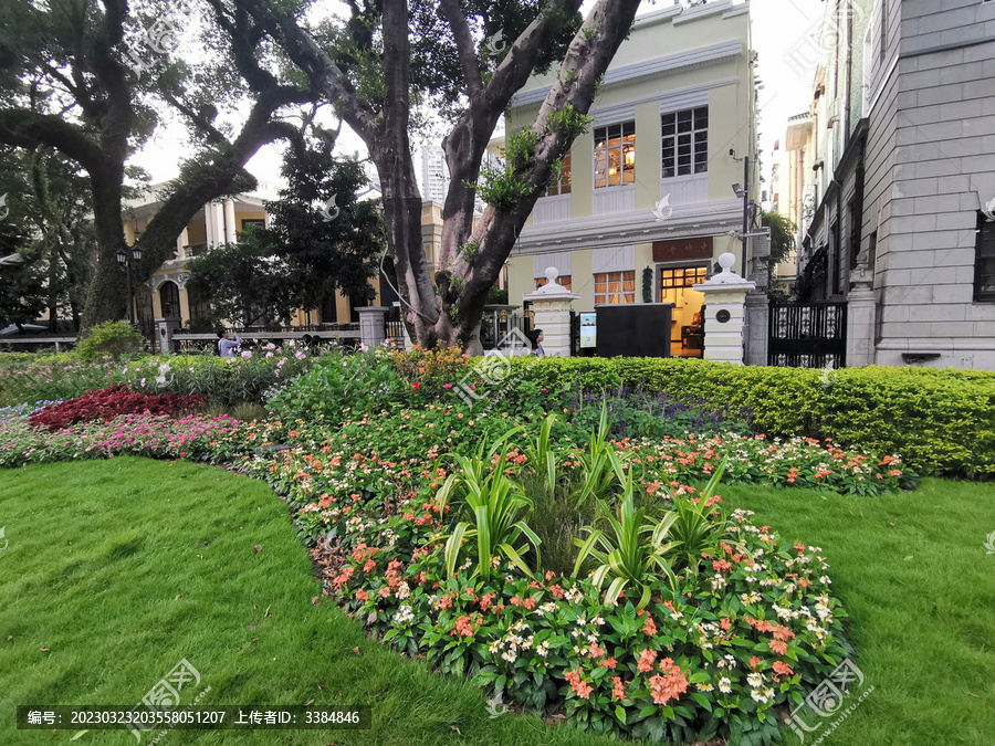 广州沙面建筑植物拍摄