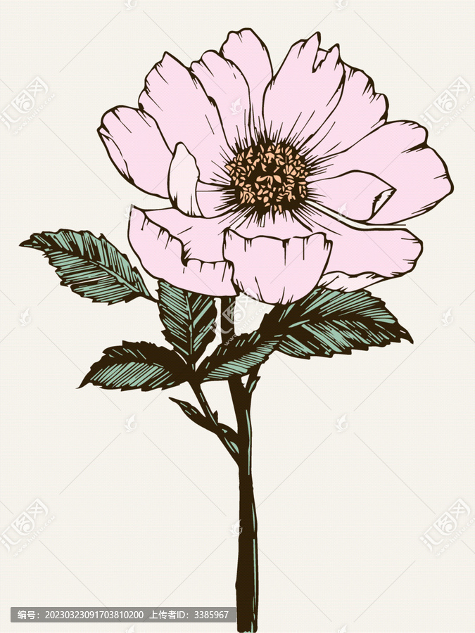復(fù)古花園北歐花朵花卉裝飾畫