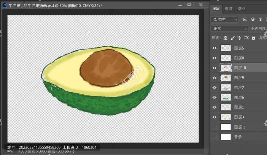 牛油果手繪牛油果插畫