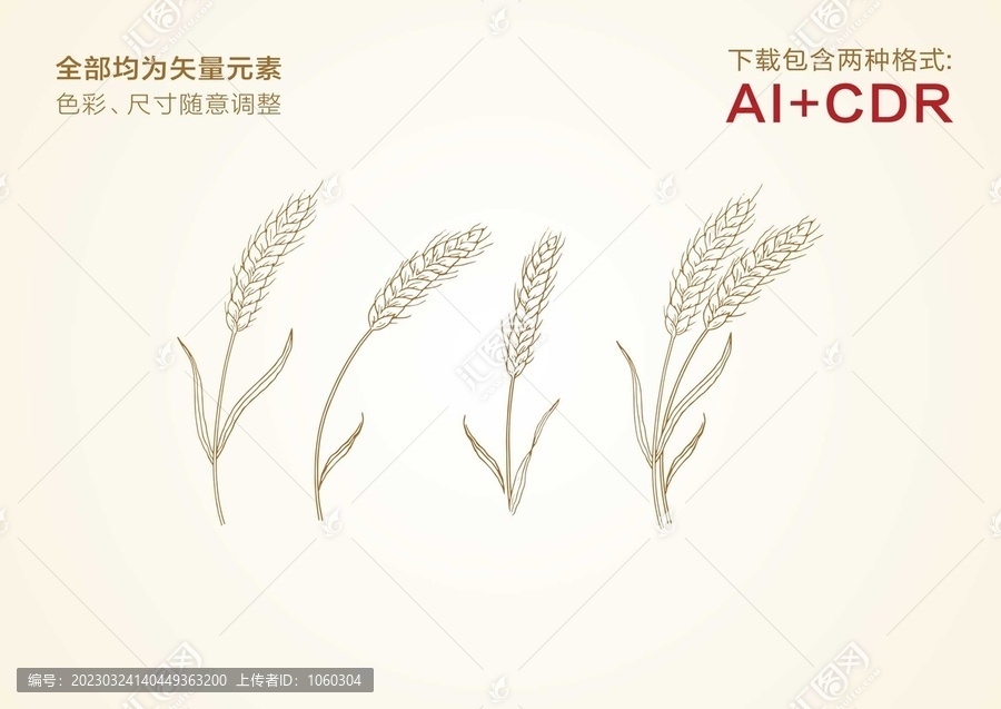 麥穗手繪麥穗矢量圖小麥插畫(huà)