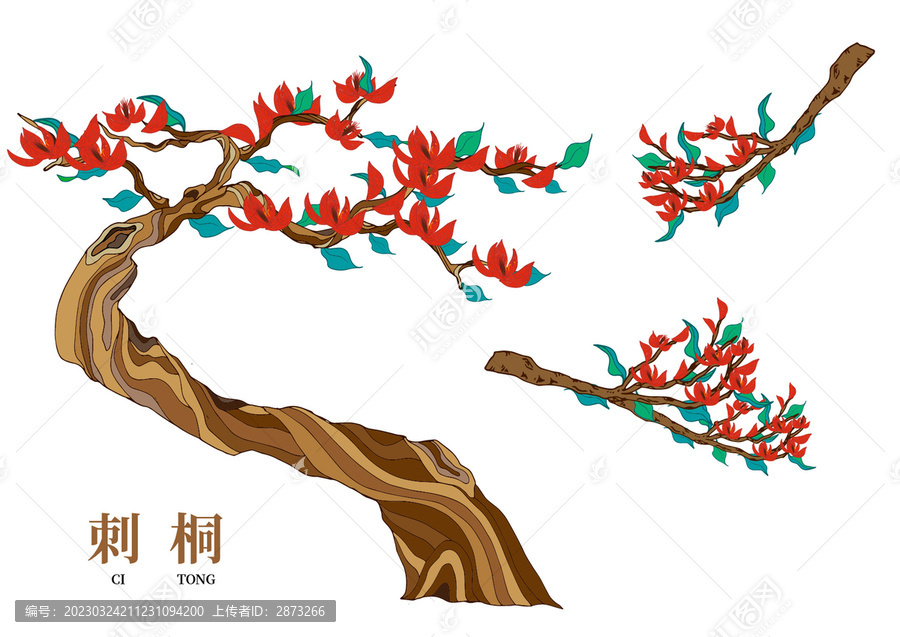 刺桐