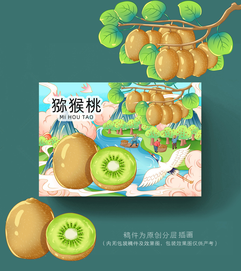 獼猴桃插畫(huà)手繪