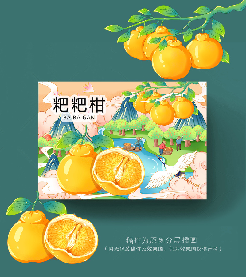 粑粑柑插畫手繪