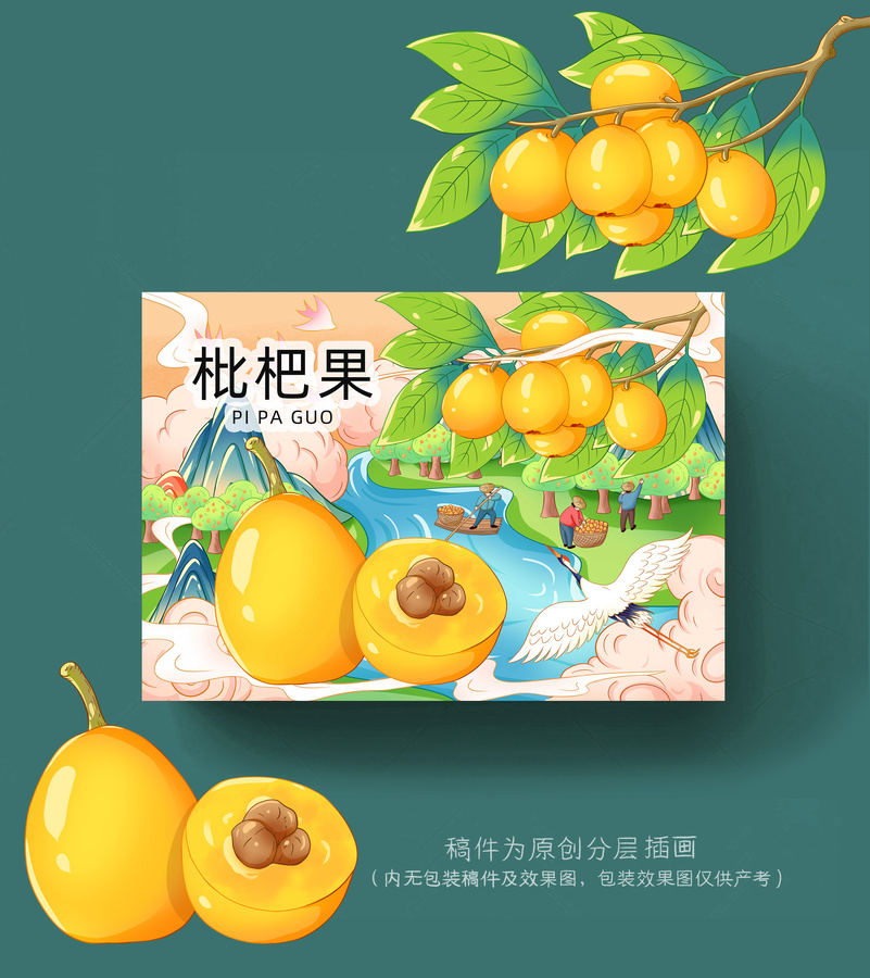 枇杷插畫手繪
